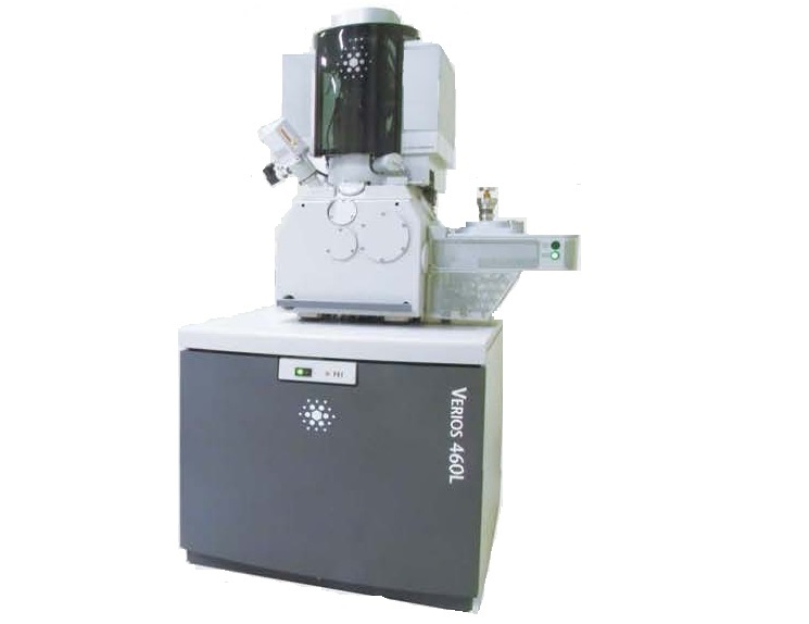 4.초고분해능 주사전자현미경.jpg