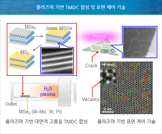 플라즈마 기반 TMDC 합성 및 표면 제어 기술